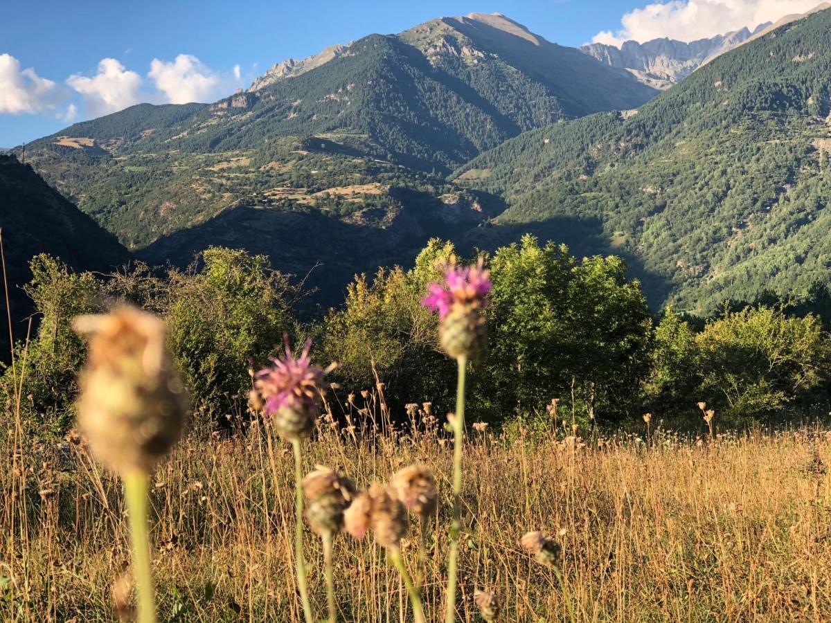 Pirineosnature Apartments San Juan De Plan Luaran gambar